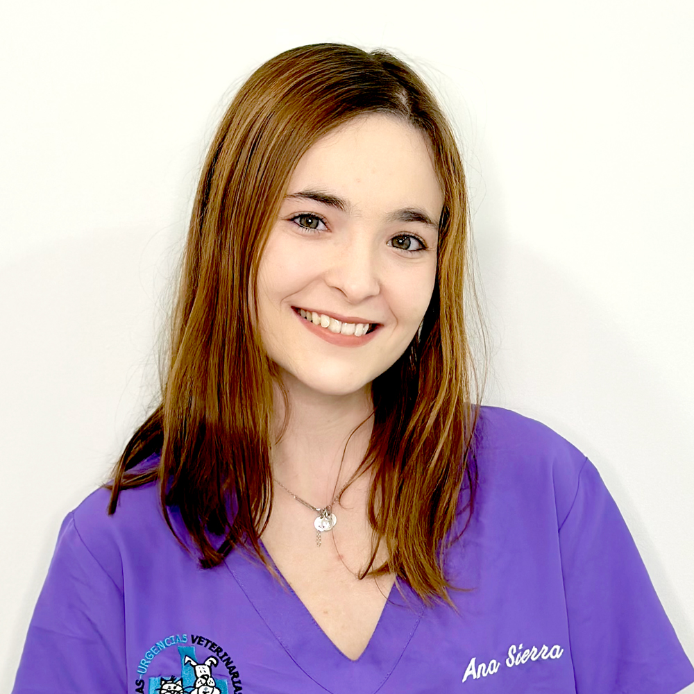 Ana Sierra