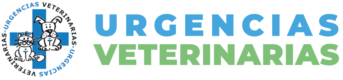 Urgencias Veterinarias Zaragoza